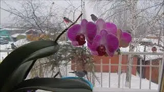Потанцуем?
