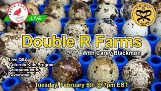 Coturnix Corner LIVE - Farm Introductions