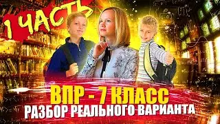 Разбор реального варианта (1 часть) | ВПР по математике 7 класс