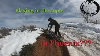 Playing in the snow... In Phoenix???