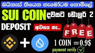 earn money sinhala|free binance එකට සල්ලි ගන්න පුළුවන් හැමෝටම |සුපිරි වැඩක් මිස් කරගන්නඑපා ✋|verify