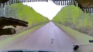 Республика Марий Эл. Куда меня понесло.