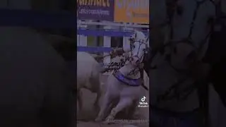 e verdade verdadeira