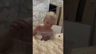 24 сентября 2024 г.