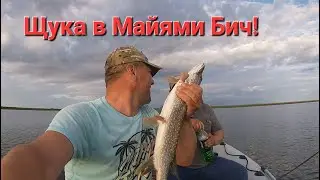 Вот Это Рыбалка! Бешеный Клев Щуки! Олег Не Ожидал!
