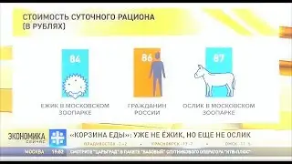 уже не ёжик 🦔 но ещё не ослик 🐴