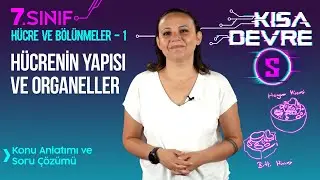 Hücre ve Bölünmeler: Organeller, Hayvan ve Bitki Hücresi Farkları, Hücrenin Yapısı | 7. Sınıf Fen #5