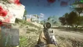 Nice roadkill