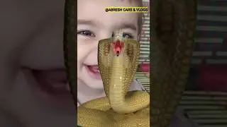 #shorts#shortsvideo #vfxshorts #vfxsnakes#magic #viral #viralvideo
