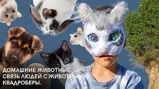 Домашние животные. Связь людей с животными. Квадроберы.