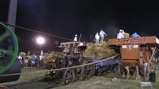 Trebbiatura storica a San Biagio 2024 con locomobile OM e Marshall a vapore | Historic threshing