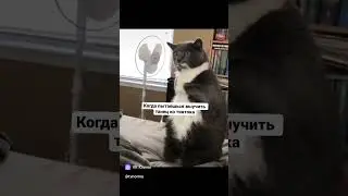 это точно