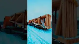 20 секунд из жизни деревянной фермы 