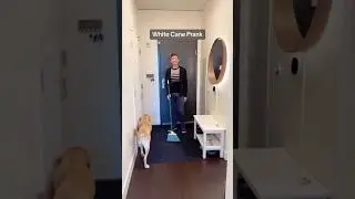Pranking my blind husband BEST OF 2023 (I’m cry-laughing) 