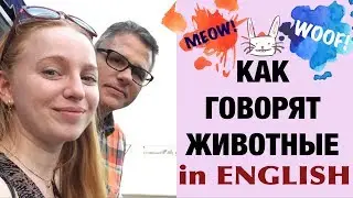 WHAT ANIMALS SAY IN ENGLISH. ENGLISH FOR BABIES AND CHILDREN. CORRECT ENGLISH PRONUNCIATION