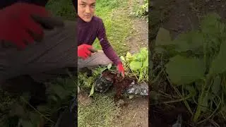 19 октября 2024 г.