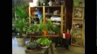 kandaflors.com