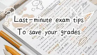 Last-minute Exam tips to Save your Grades !! //study tips// Exam day routine