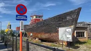 Фроська путешествует и встречает своего Принца.🐶🐶