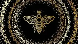 Jo Wabbie - Sarkaray (feat. Alismusic & Tyrone Briggs) [Official Audio]