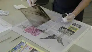 Inside the Art Studios with Ron Bimrose
