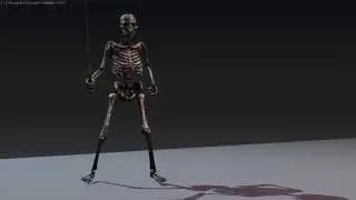 Skeleton Animation Test