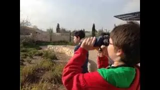 צפרות בנופית-עורכים תצפיות וסופרים ציפורים בסביבה 2013