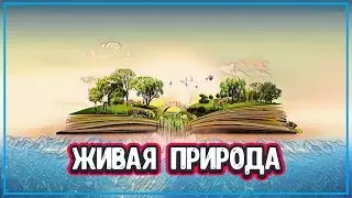 ЯВЛЕНИЯ ПРИРОДЫ - 7 УНИКАЛЬНЫХ ФЕНОМЕНОВ ПРИРОДЫ (явления живой природы)