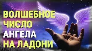 Ангельское число на ладони способно творить чудеса