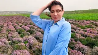 Крым 2024: Я ПОРАЖЕНА. Эти места меня УДИВИЛИ. Уехала в пресс-тур по Крыму. Отдых в Крыму сегодня