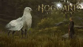 Волшебные твари и где они обитают - Hogwarts Legacy №17
