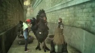 Final Fantasy XV: Comrades - Chocobreeder