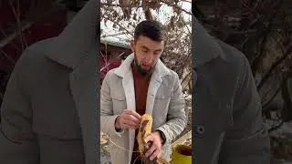вырасти свою мочалку у сеья в саду