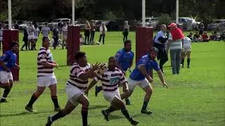 Mattheuw Fluks Rugby Highlights
