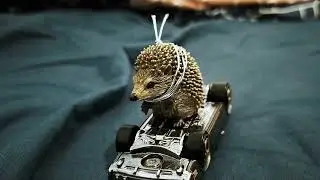 wwwwwWWWWWWWwwwwwwWWWWWWWWwwwwwwWWWWWWWWwwwwwww