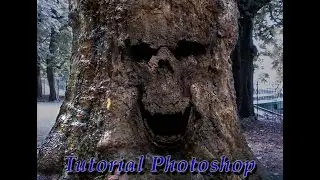 Tutorial PHOTOSHOP integrar cara en arbol FOTOMONTAJE