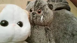 Мои басюньки!!!!  😸😸😸😸😸😸