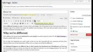 Changing Font Size & Color in WordPress