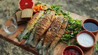Sacda qızıl balıq qızartması (Farel) - Salmon Fry