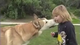 THE WOLF AND THE LITTLE GIRL