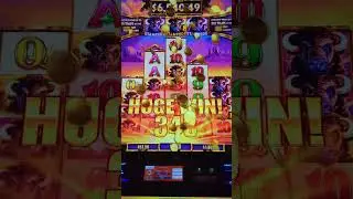 Super Stampede Jackpot on Buffalo Slot Machine Las Vegas #slots #casino
