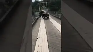 Леша давай! Где Леша то