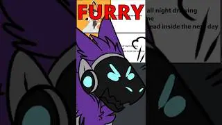The Categories of Furry Memes 