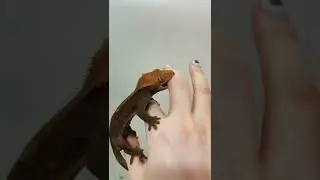Понравился лайфхак? 