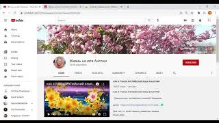 Жизнь на юге Англии, обзор канала, сколько зарабатывает канал на  YouTube???