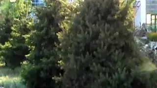Анапа санаторий Кристалл 2011.mpg