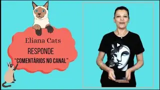 Eliana Cats Responde: 