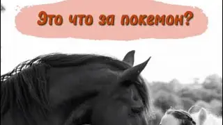 Это что за покемон?