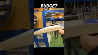 budget English willow cricket bats under 5000 