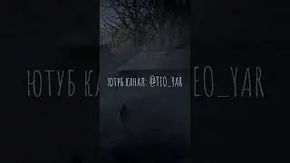 S.T.A.L.K.E.R☢️ПРОПАВШИЙ ВОЛК☢️ 